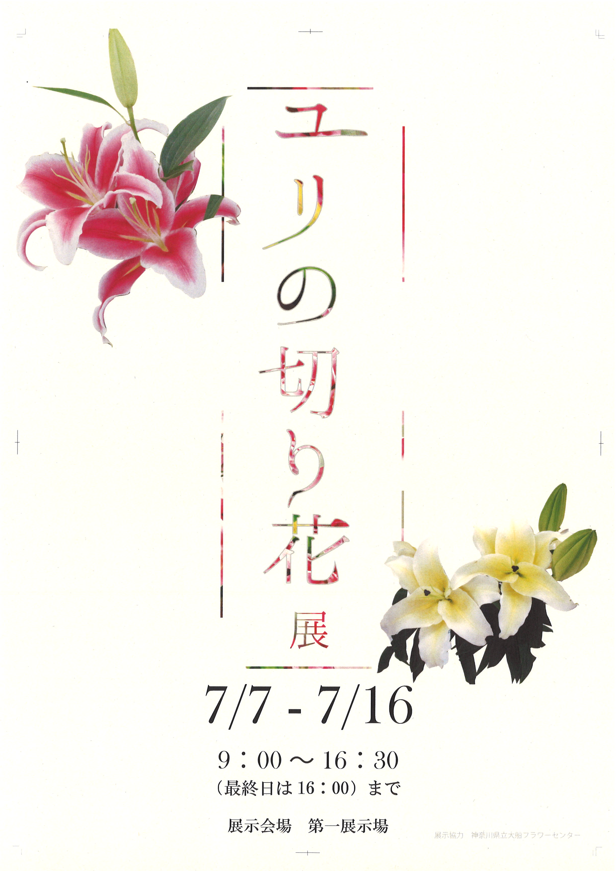 ユリの切り花展 イベント 神奈川県立大船フラワーセンター